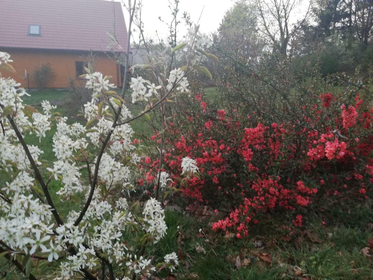 Agrojelonki Agroturystyka Gietrzwałd エクステリア 写真
